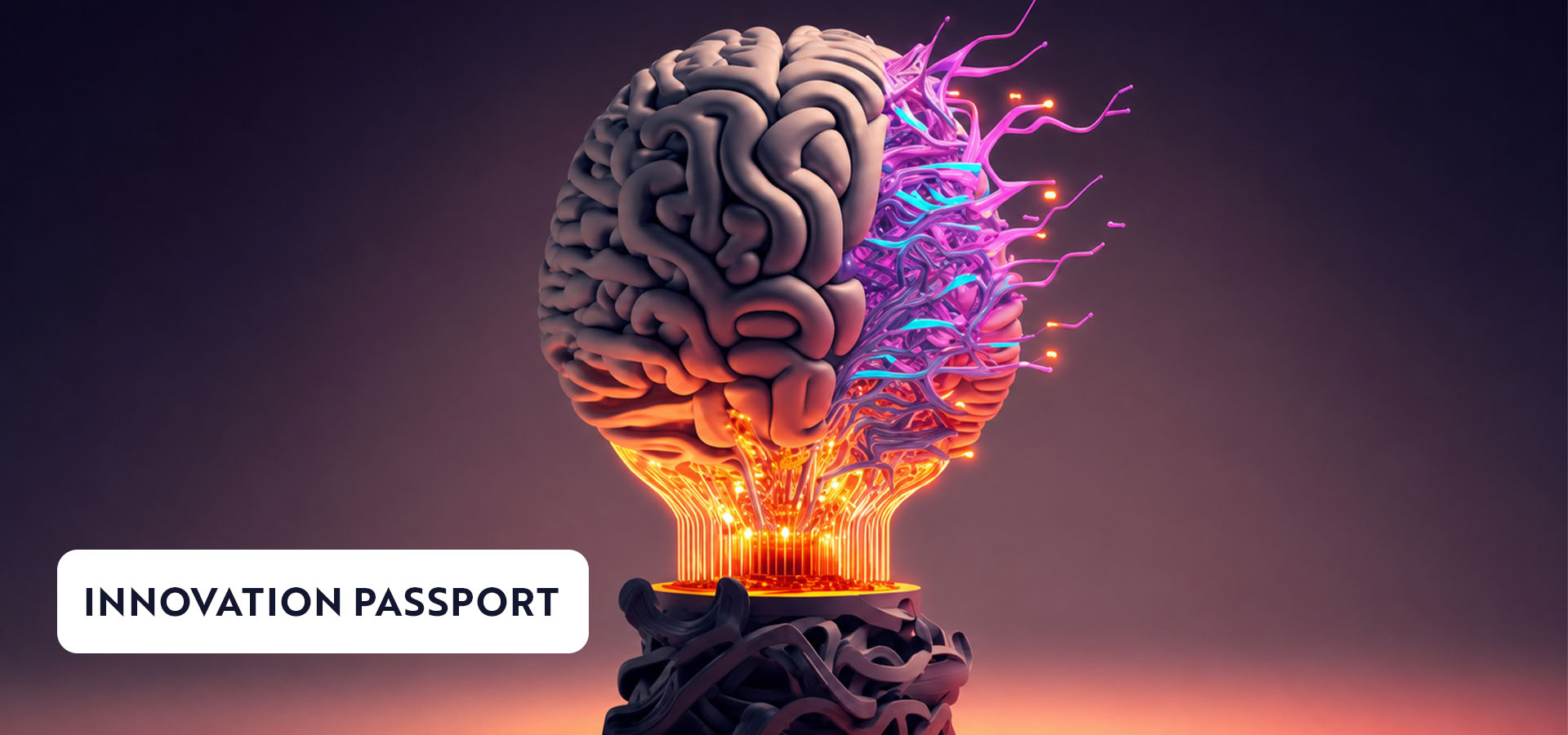 Innovation Passport - Empowering healthcare innovation at AMTZ